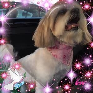 Meet your Posher, Millissa